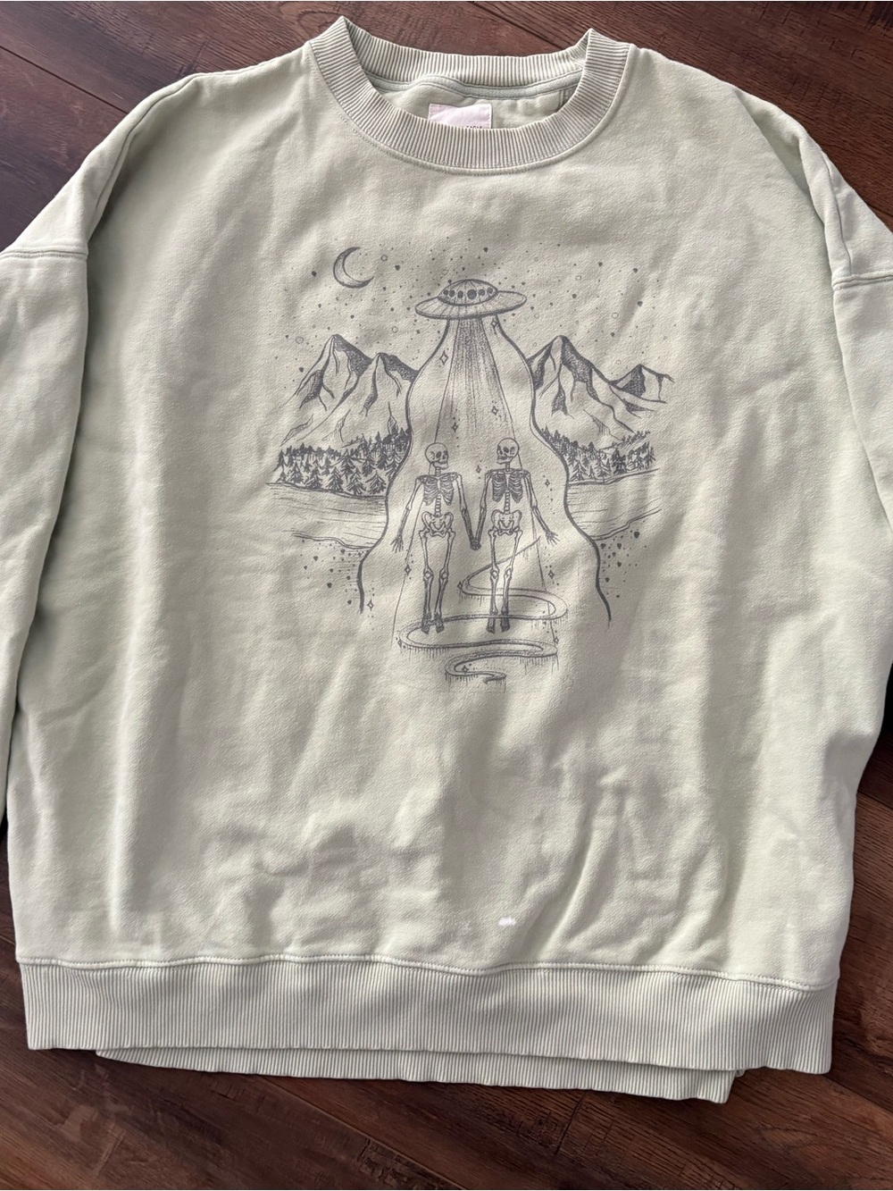 American Eagle Outfitters Pale Sage Crewneck Sweatshirt
